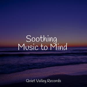 Soothing Music to Mind - Ambiente