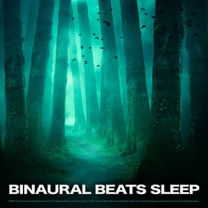 Binaural Beats Sleep: ASMR Forest Sounds and Nature Sounds For Sleeping Music, Isochronic Tones, Theta Waves, Alpha Waves and Ambient Music For Hypnosis Therapy, Brainwave Entrainment and Sleep Music - Binaural Beats Sleep