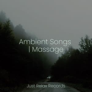 Ambient Songs | Massage - Meditación Guiada