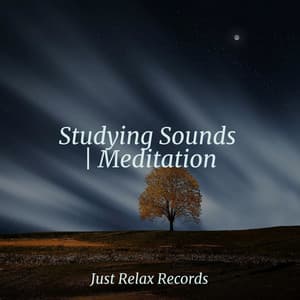 Studying Sounds | Meditation - Música para Relajarse Profundamente