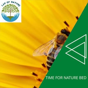 Time for Nature Bed - Calm Music