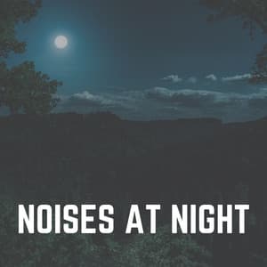 Noises At Night - Green Noise Therapy