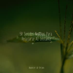 50 Sonidos Neutros Para Relajarse Al Instante - Meditar Profundamente