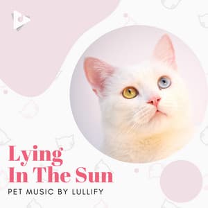Lying In The Sun - Pet Music by Lullify
