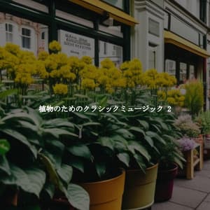 植物のためのクラシックミュージック 2 - New York Restaurant Jazz