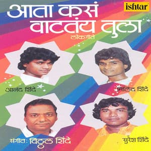 Aata Kas Vaattay Tula - Anand Shinde