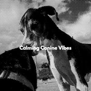 Calming Canine Vibes - Jazz Rilassante Progetto