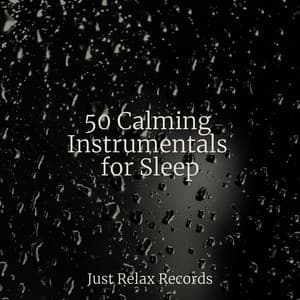 50 Calming Instrumentals for Sleep - Kinderliederbande