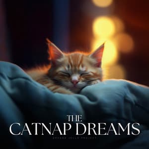 The Catnap Dreams - Relax My Kitten