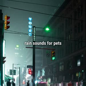 rain sounds for pets - Sound Effects Library