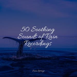 50 Soothing Sounds of Rain Recordings - meditacou musica ambiente