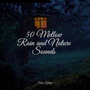50 Mellow Rain and Nature Sounds - Study Music & Sounds