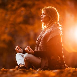Tranquil Meditation Music for Relaxing - Blissful Meditation Journey