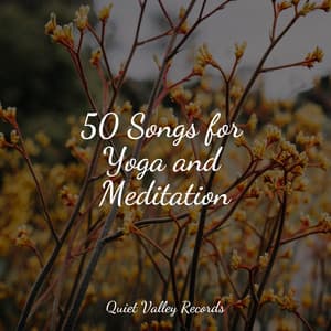 50 Songs for Yoga and Meditation - Baby Relax Music Collection
