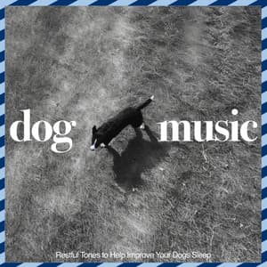 Music For Dogs: Restful Tones to Help Improve Your Dogs Sleep - Music For Dogs Peace