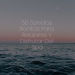 50 Sonidos Bonitos Para Relajarse Y Disfrutar Del Spa - Musica para Bebes