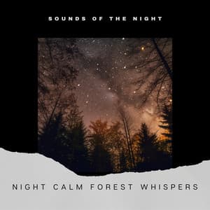 Night Calm: Forest Whispers - Sounds of the Night