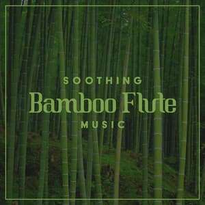 Soothing Bamboo Flute Music - Flute Music Academy