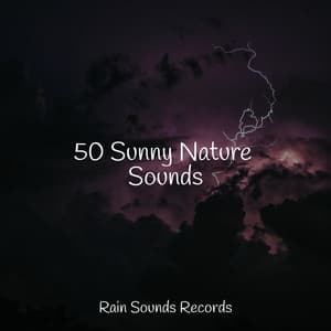 50 Sunny Nature Sounds - PowerThoughts Meditation Club