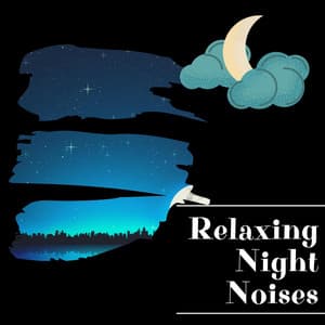 Relaxing Night Noises for Deep Rest - Night Sounds Channel