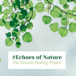 #Echoes of Nature - The Natural Healing Project