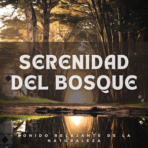 Serenidad del Bosque: Sonido Relajante de la Naturaleza - Vibraciones de la Naturaleza