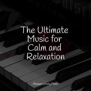 The Ultimate Music for Calm and Relaxation - Piano Therapy Sessions