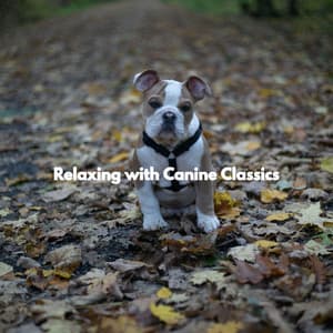 Relaxing with Canine Classics - Dog Separation Anxiety Music