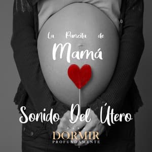 La Panzita De Mamá - Sonidos Del Útero - Para Dormir Profundamente