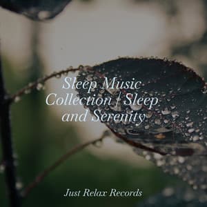 Sleep Music Collection | Sleep and Serenity - Japanese Relaxation and Meditation