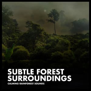 Subtle Forest Surroundings - Calming Rainforest Sounds