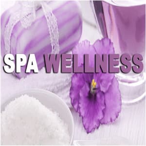 Spa Wellness - Reiki Music