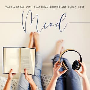 Take a Break with Classical Sounds and Clear Your Mind: Deep Concentration, Power Brain, effective Learning, Pass Exam - Study Music 101