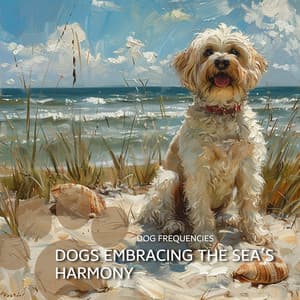 417 Hz Oceanic Flute: Dogs Embracing the Sea’s Harmony - Dog Frequencies