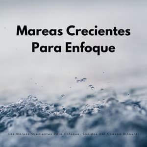 Las Mareas Crecientes Para Enfoque, Sonidos Del Océano Binaural - Soluciones de ritmos binaurales