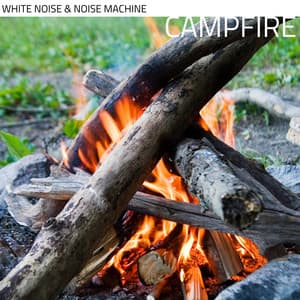 White Noise & Noise Machine: Campfire, Loopable - In Beautiful Nature