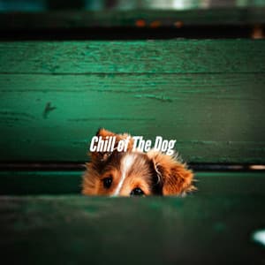 Chill of The Dog - Calming Dog Jazz