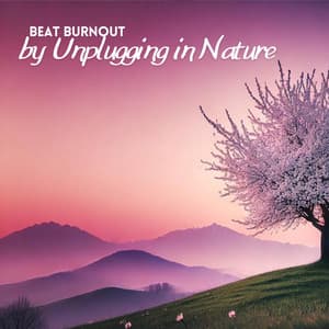 Beat Burnout by Unplugging in Nature - Mindfullness Meditation World
