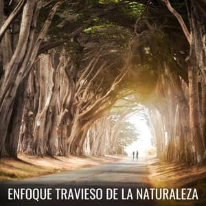 Enfoque Travieso De La Naturaleza - Canal Naturaleza sin parar