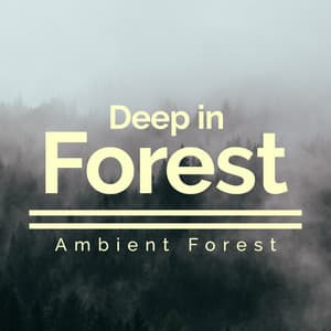 Deep in Forest - Ambient Forest