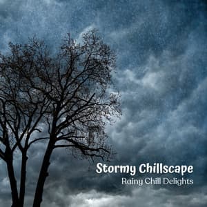 Stormy Chillscape: Rainy Chill Delights - Rain and Heavy Thunderstorm Sounds