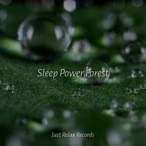 Sleep Power Forest - New Age