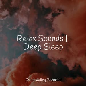 Relax Sounds | Deep Sleep - Spa & Spa