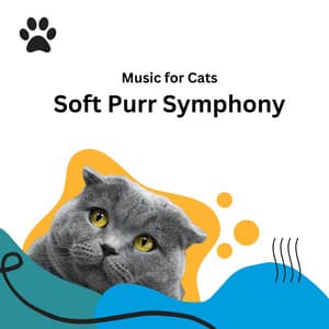 Music for Cats: Soft Purr Symphony - The Mellow One
