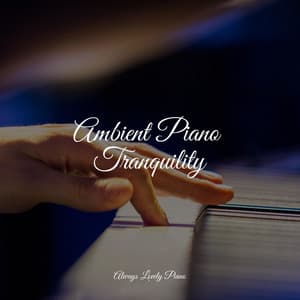 50 Piano Songs for Complete Stress Relief and Peaceful Ambience - Chillout Cafe Music