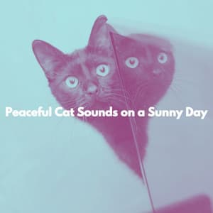 Peaceful Cat Sounds on a Sunny Day - #Relaxing Orchestra