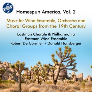 Homespun America, Vol. 2 - John Sheridan