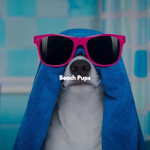 Beach Pups - Jazz Relajante