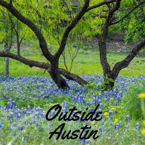 Outside Austin - Ocean Sounds ACE