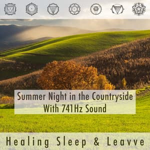 Summer Night In The Countryside With 741hz Sound - Healing Sleep